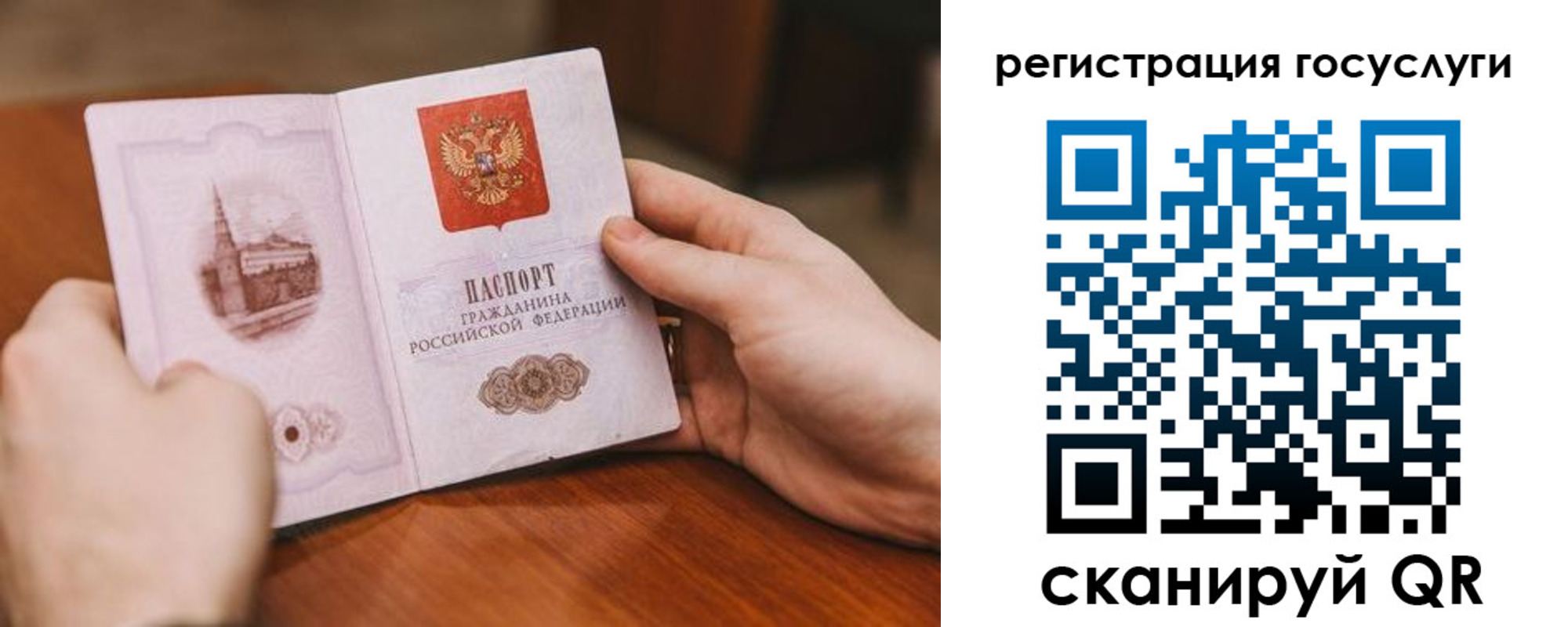 прописка поиск в Шумихе